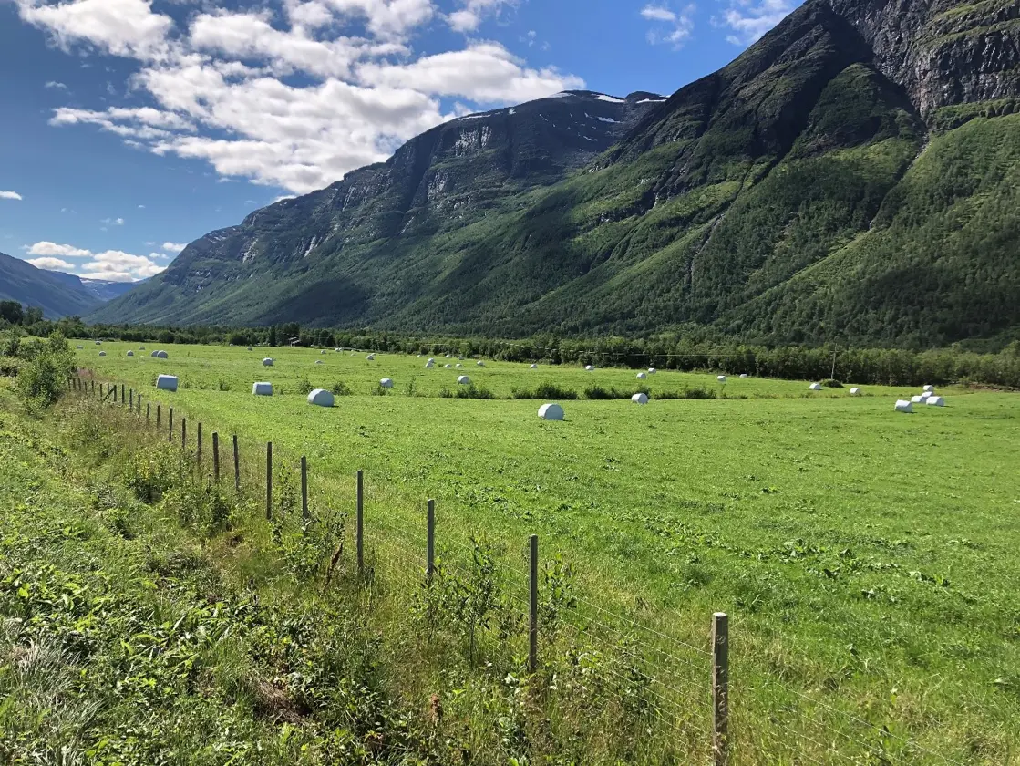 Jordbruk i Manndalen_ åfjord i Troms