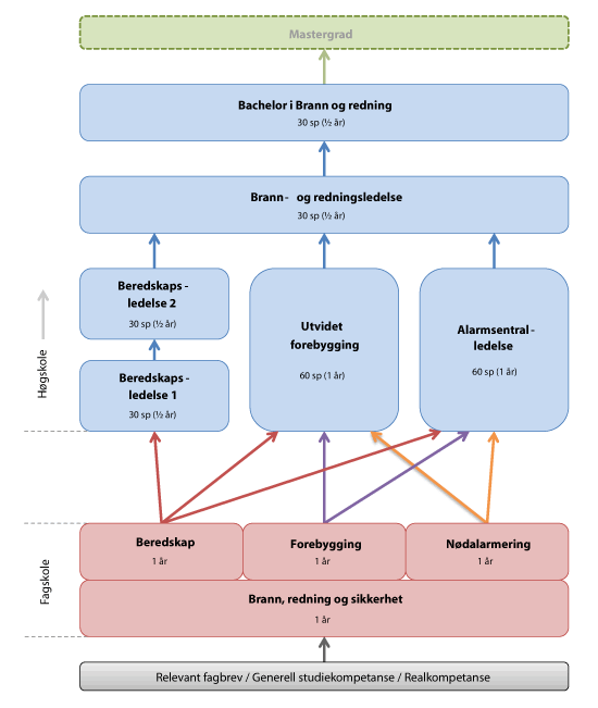 Figur 8.3 Leder- og videreutdanning som bygger på grunnutdanningen for heltidspersonell.