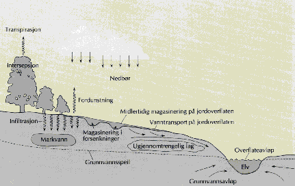 Figur 2.1 Illustrasjon av en del begrep i det hydrologiske kretsløp