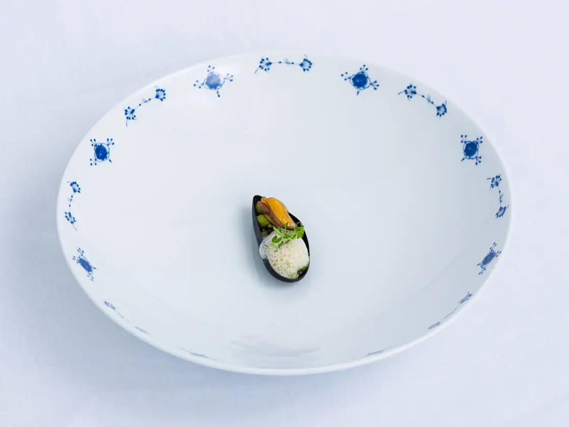 Amuse Bouche: Krustade med Blåskjell med grillsmør og Nduja olje. ‘’Grillet’’ Erter med hvitrips vinagrette Kjørvel marinert eple. Kremostkrem med syltet sjalottløk og pepperrot – Blåskjellskum med hvit miso.