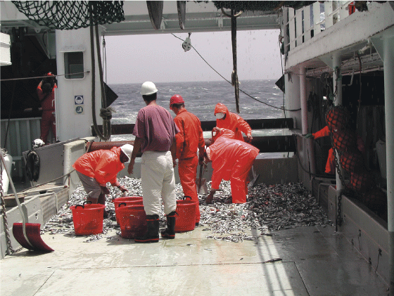 Figur 2.9 Forskingsfartøyet Dr. Fritjof Nansen har vore eit viktig verktøy for estimering av fiskeribestandar i utviklingsland
