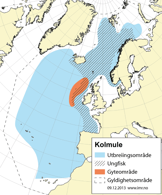 Figur 4.32 Utbreiingsområde og gyteområde for nordaust-atlantisk kolmule
