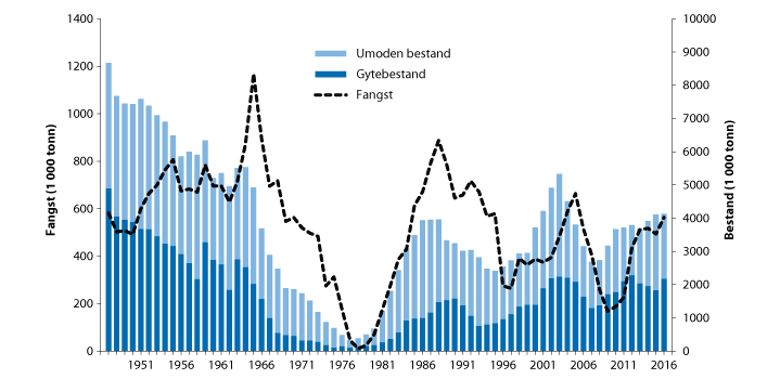 Figur 4.39 Utviklinga i bestand og fangst av nordsjøsild
