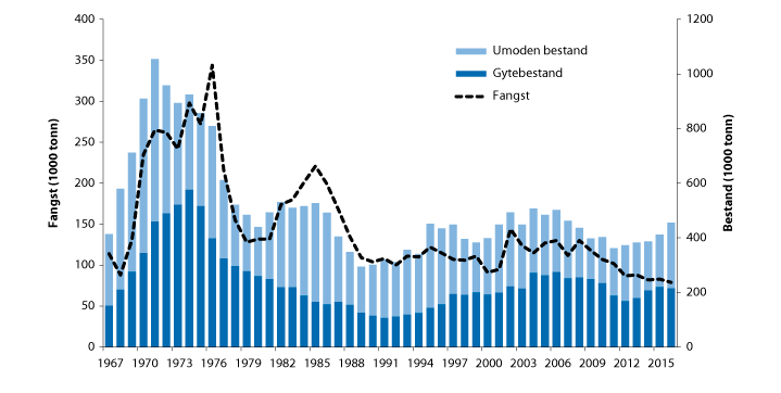 Figur 4.42 Utviklinga i bestand og fangst av sei i Nordsjøen, Skagerrak, Rockall og vest av Skottland
