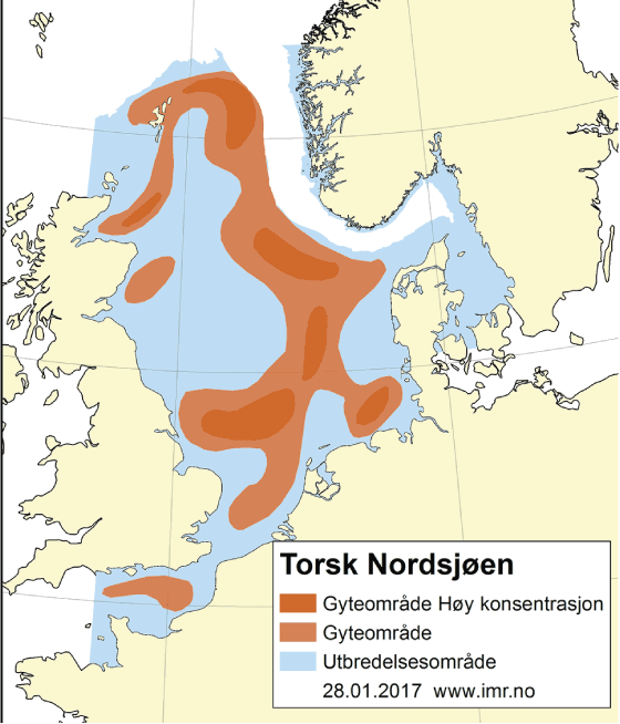Figur 4.44 Utbreiingsområde og gyteområde for torsk i Nordsjøen, Skagerrak og den austlege engelske kanalen
