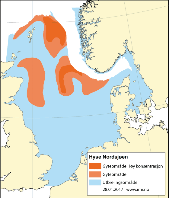 Figur 4.47 Utbreiingsområde og gyteområde for hyse i Nordsjøen, Skagerrak og vest for Skottland
