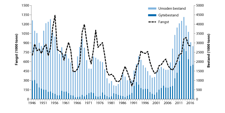Figur 4.7 Utviklinga i bestand og fangst av nordaust-arktisk torsk 
