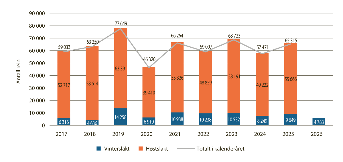 Figur 4.20 Antall slakt til slakteri per kalenderår 2017-2026, og vinterslakt 2026