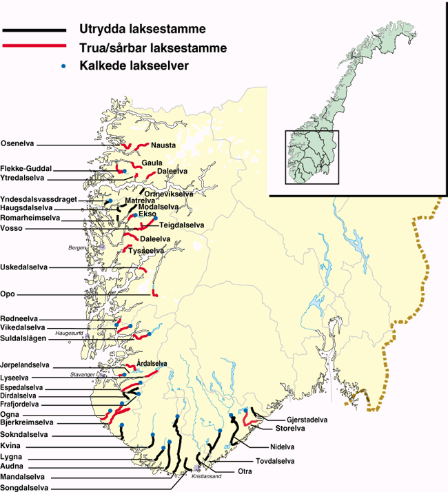 Figur 5.2 Forsurede laksevassdrag i Norge, kalkede og ukalkede per 1998.