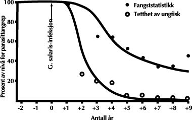 Figur 5.3 Modell som beskriver fangstutvikling og ungfisktetthet i en
 laksebestand ved smitte av parasitten.