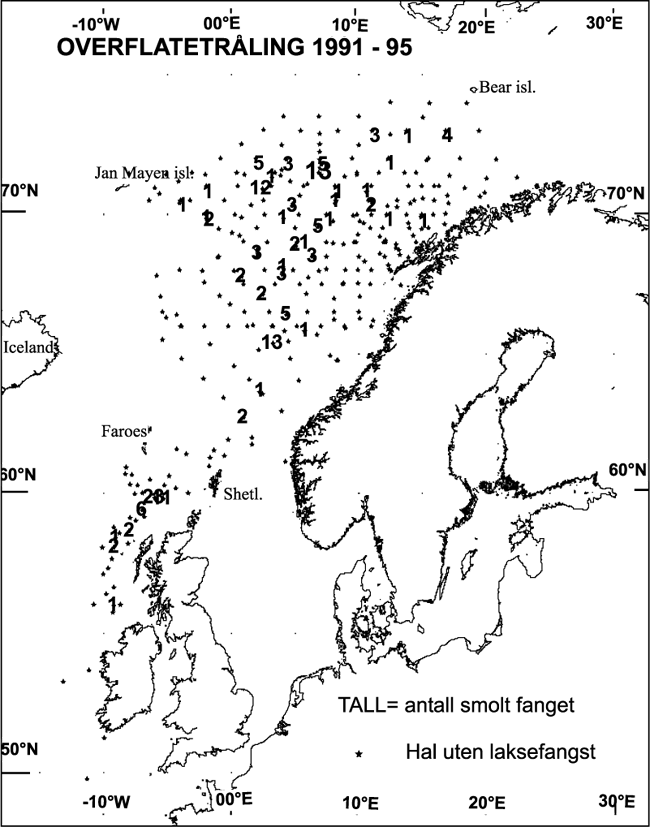 Figur 11.1 Trålhal med og uten laksefangster i 1991–95:
 Tokt med F/F J. Hjort og G.O. Sars i juni– august.
