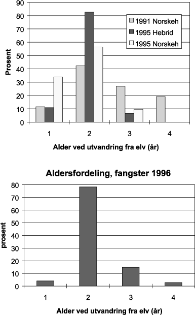 Figur 11.3 Alder ved utvandring fra elv hos trålfanget postsmolt
 og laks i Norskehavet med tilgrensende områder i 1991–95
 (øvre figur) og i 1996 (nedre figur). Avlest fra otolitter
 og skjell.