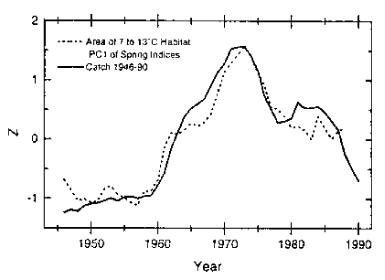 Figur 11.4 Areal av 7–13° om våren sammenholdt med fangster
 av laks 1960–1990 (uttrykt i «Prinsipal komponent
 poeng Z)