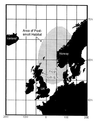 Figur 11.6 Beliggenhet av elvene North Esk og Figgjo Det er antatt at
 smolt fra de to elvene oppholder seg i det skraverte området
 de første 1–2 månedene i havet.