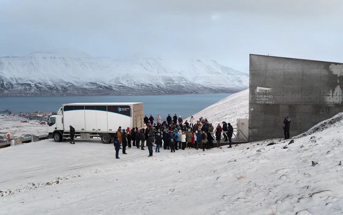 Twenty-one gene banks from four continents deposited a total of more than 16,000 seed samples in the seed vault in October 2026.