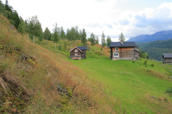 Landbruks- og matdepartementet og Klima- og miljødepartementet har utpeikt 10 nye utvalde kulturlandskap i jordbruket i 2017. Hjartal og Svartdal i Telemark er blant dei, og er kjent for sine rike kulturlandskapskvalitetar.