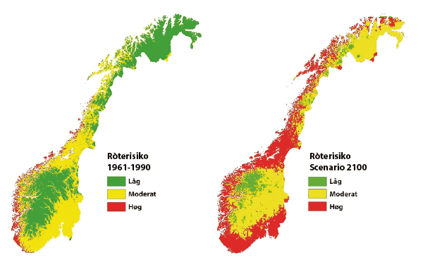 Figur 4.2 Potensiell ròterisiko i Noreg frå 1961 til 1990 og i år 2100 (basert på Scheffer, 1971 og Lisø ofl. 2006)1