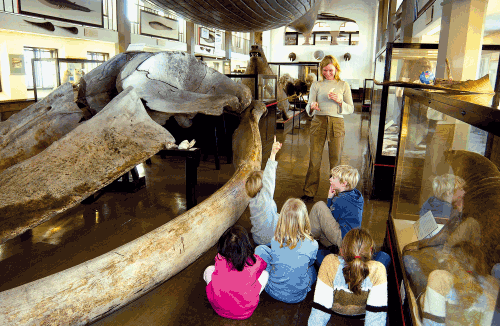 Figur 4.22 Formidling ved Hvalfangstmuseet, Vestfoldmuseene.