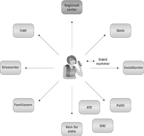 Figur 12.1 Modell for tjenester med utgangspunkt i brukeren