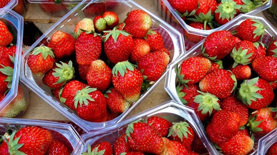 Jordbærsesongen er utvidet etter Landbruks- og matdepartementet åpnet for import av jordbærplanter i fjor.