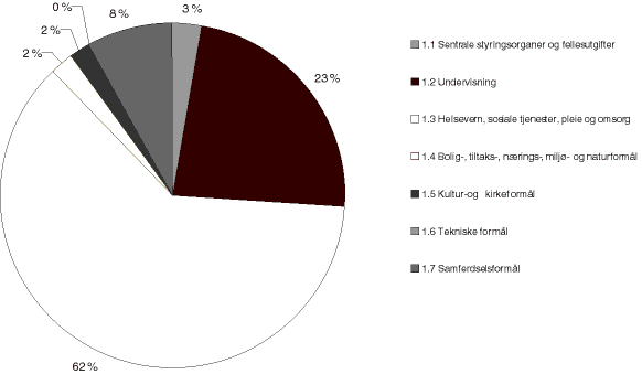 Figur 26.7 Fordeling av driftsutgifter på hovedkapittel. Fylkeskommunene. 1999.