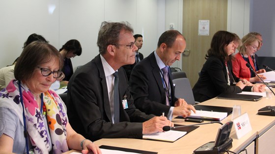 EØS-komiteen 11. juni 2015