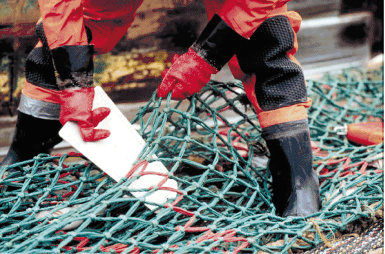 Figur 2.6  Kystvakta kontrollerer at fisket skjer på lovleg vis ved å måle maskestorleiken på trålen