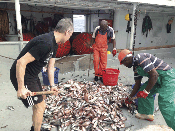 Figur 2.9 Forskingsfartøyet Dr. Fritjof Nansen har vore eit viktig verktøy for estimering av fiskeribestandar