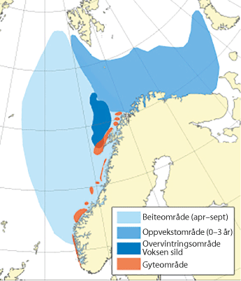 Figur 4.26 Utbreiingsområde og gyteområde for norsk vårgytande sild 