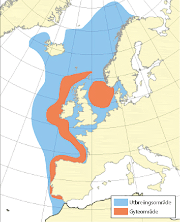 Figur 4.29 Utbreiingsområde og gyteområde for nordaust-atlantisk makrell
