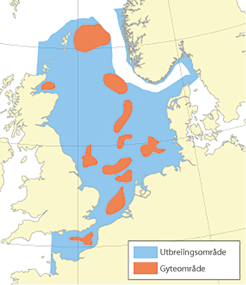 Figur 4.44 Utbreiingsområde og gyteområde for torsk i Nordsjøen, Skagerrak og den austlege engelske kanalen
