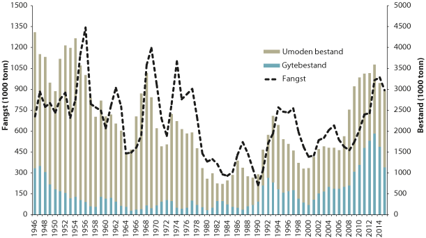 Figur 4.7 Utviklinga i bestand og fangst av nordaust-arktisk torsk 
