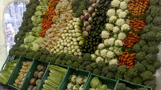 Økologiske grønnsaker i Sande Vestfold.