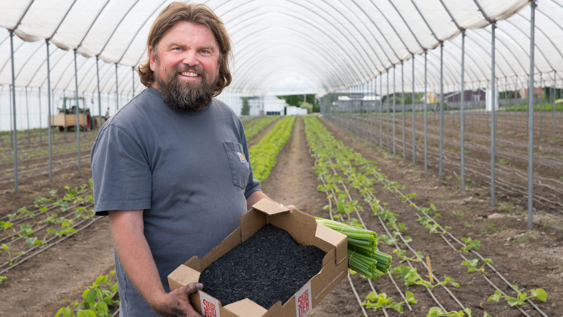 Biokull blandet med organisk materiale