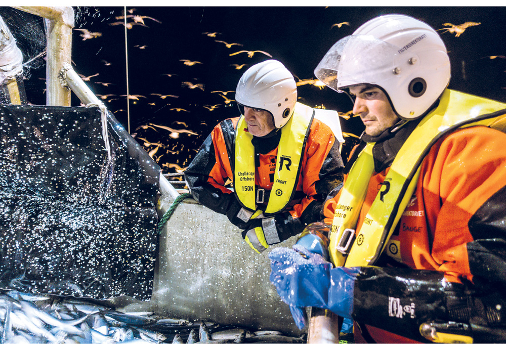 Figur 2.6 Fiskeridirektoratet si sjøteneste på kontroll
