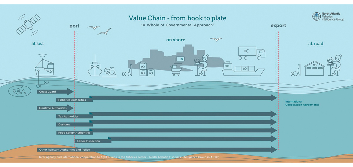 Figur 2.9  Illustrasjonen viser korleis NA-fig arbeider langs heile verdikjeden
