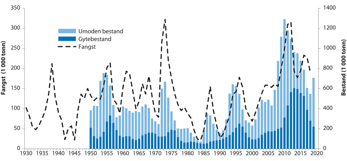 Figur 4.10 Utviklinga i bestand og fangst av nordaustarktisk hyse