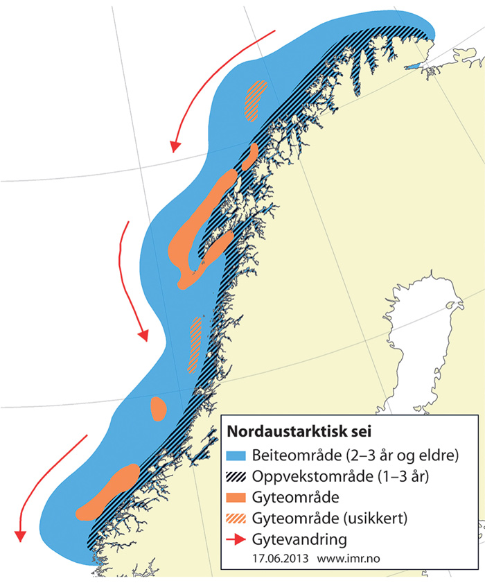 Figur 4.12 Utbreiingsområde og gyteområde for nordaustarktisk sei 