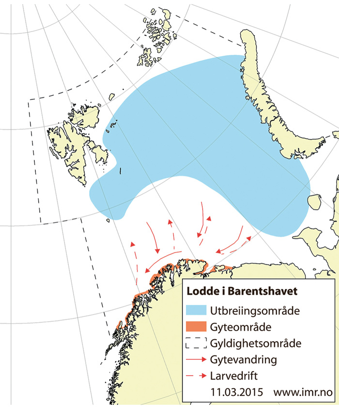 Figur 4.20 Utbreiingsområde og gyteområde for lodde i Barentshavet