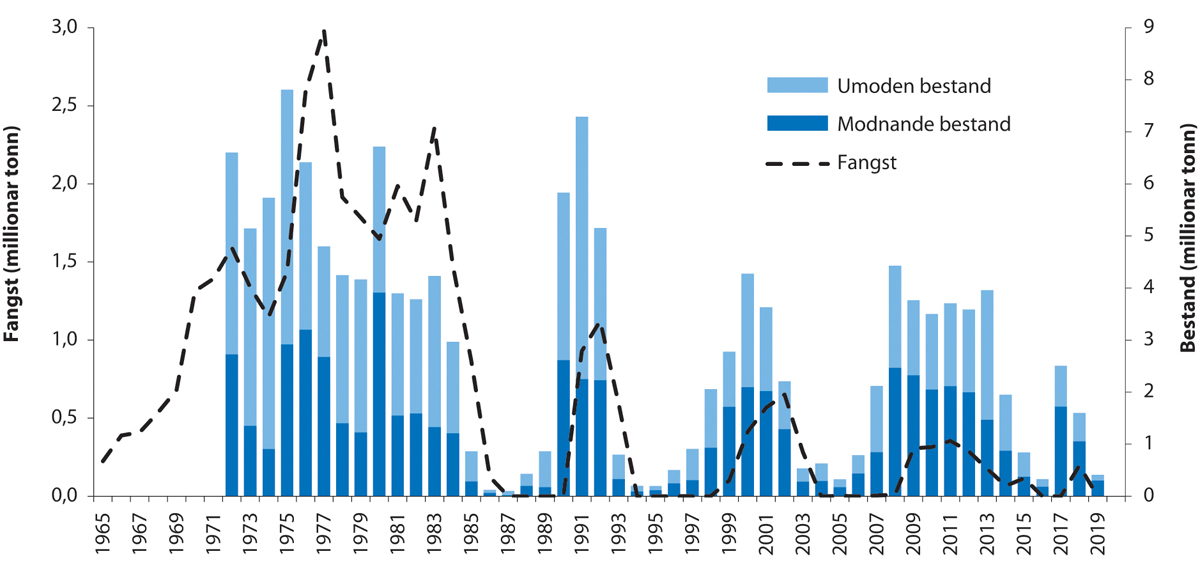 Figur 4.21 Utviklinga i bestand og fangst av lodde i barentshavet