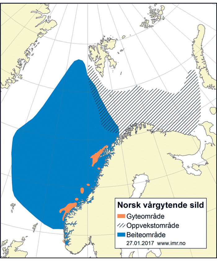 Figur 4.26 Utbreiingsområde og gyteområde for norsk vårgytande sild 