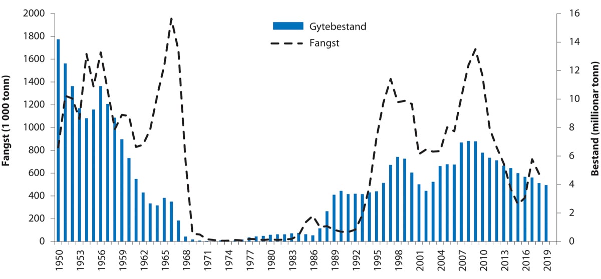 Figur 4.27 Utviklinga i bestand og fangst av norsk vårgytande sild