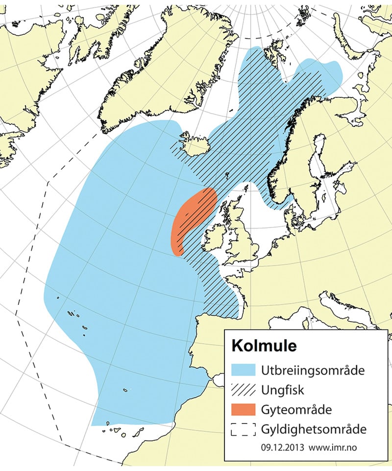 Figur 4.32 Utbreiingsområde og gyteområde for nordaustatlantisk kolmule