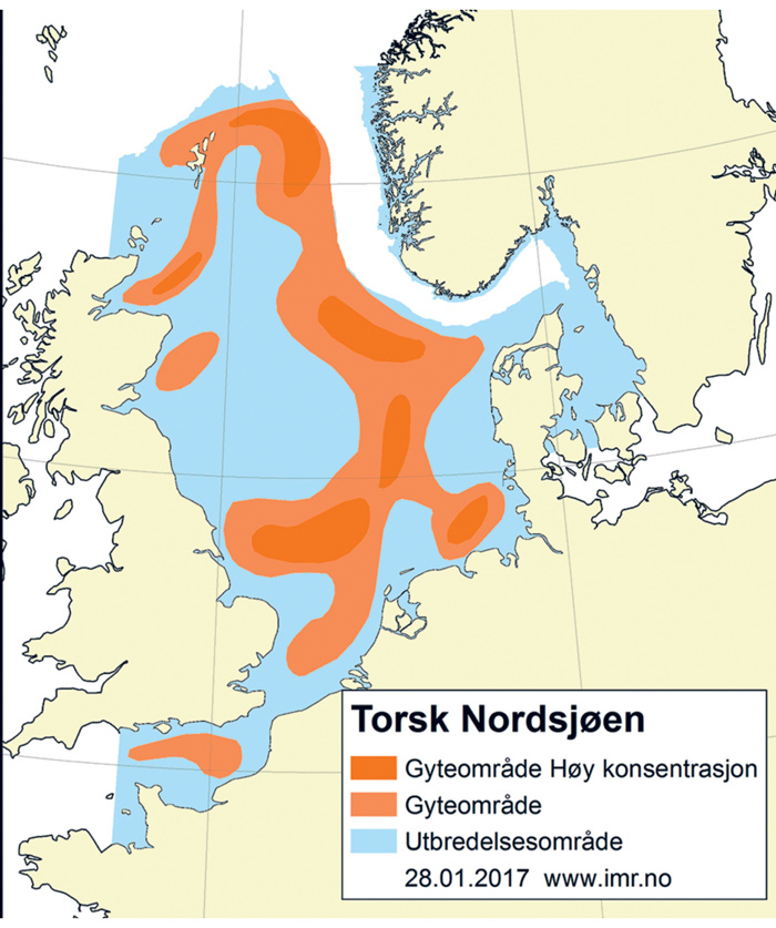 Figur 4.44 Utbreiingsområde og gyteområde for torsk i Nordsjøen, Skagerrak og den austlege engelske kanalen