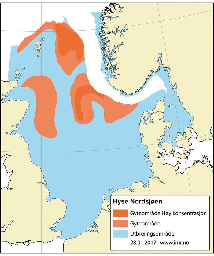 Figur 4.47 Utbreiingsområde og gyteområde for hyse i Nordsjøen, Skagerrak og vest for Skottland