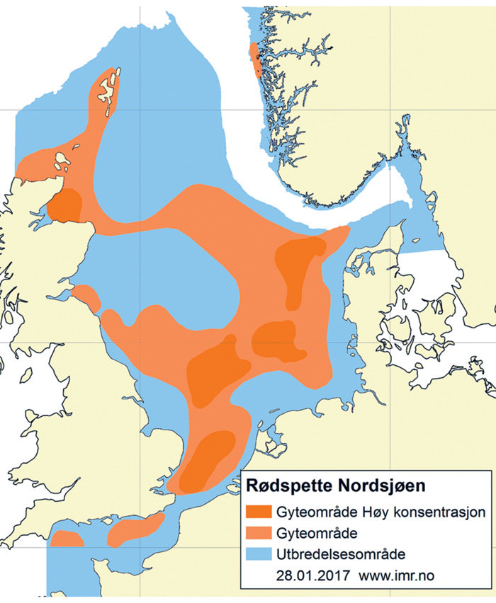 Figur 4.53 Utbreiingsområde og gyteområde for raudspette i Nordsjøen og Skagerrak