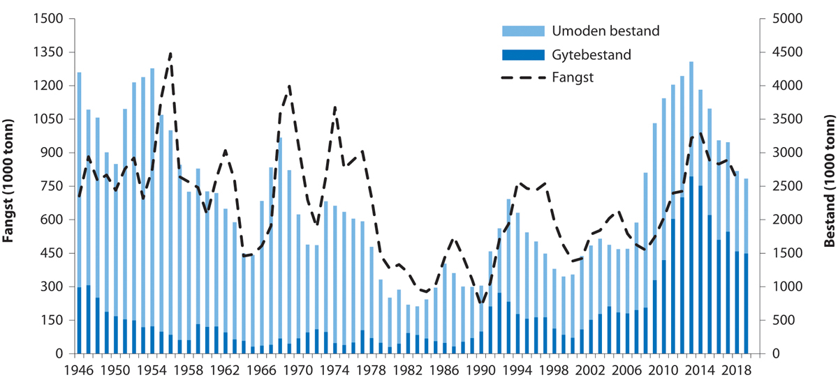Figur 4.7 Utviklinga i bestand og fangst av nordaustarktisk torsk 