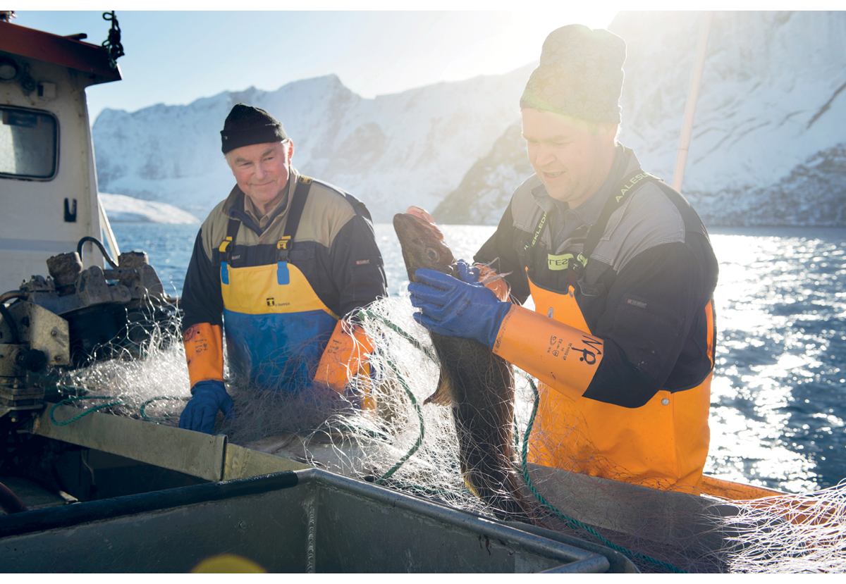 Figur 5.1 Fiske er viktig for livet langs kysten 

