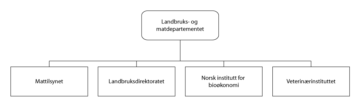 Figur 5.1 Organisering