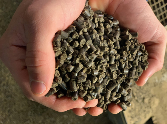 Pellets av økologisk gjødsel.